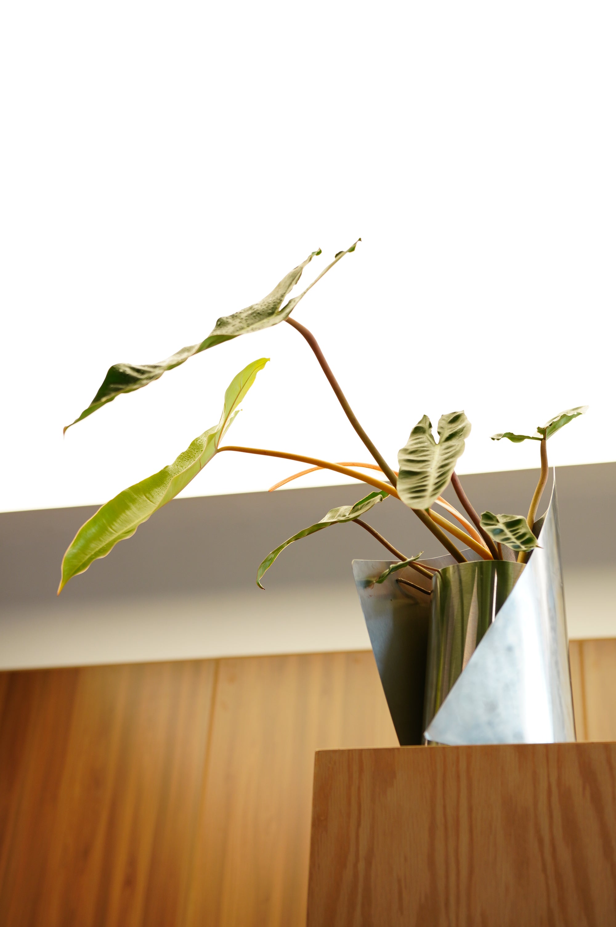 FOLD VASE WITH PLANT 001