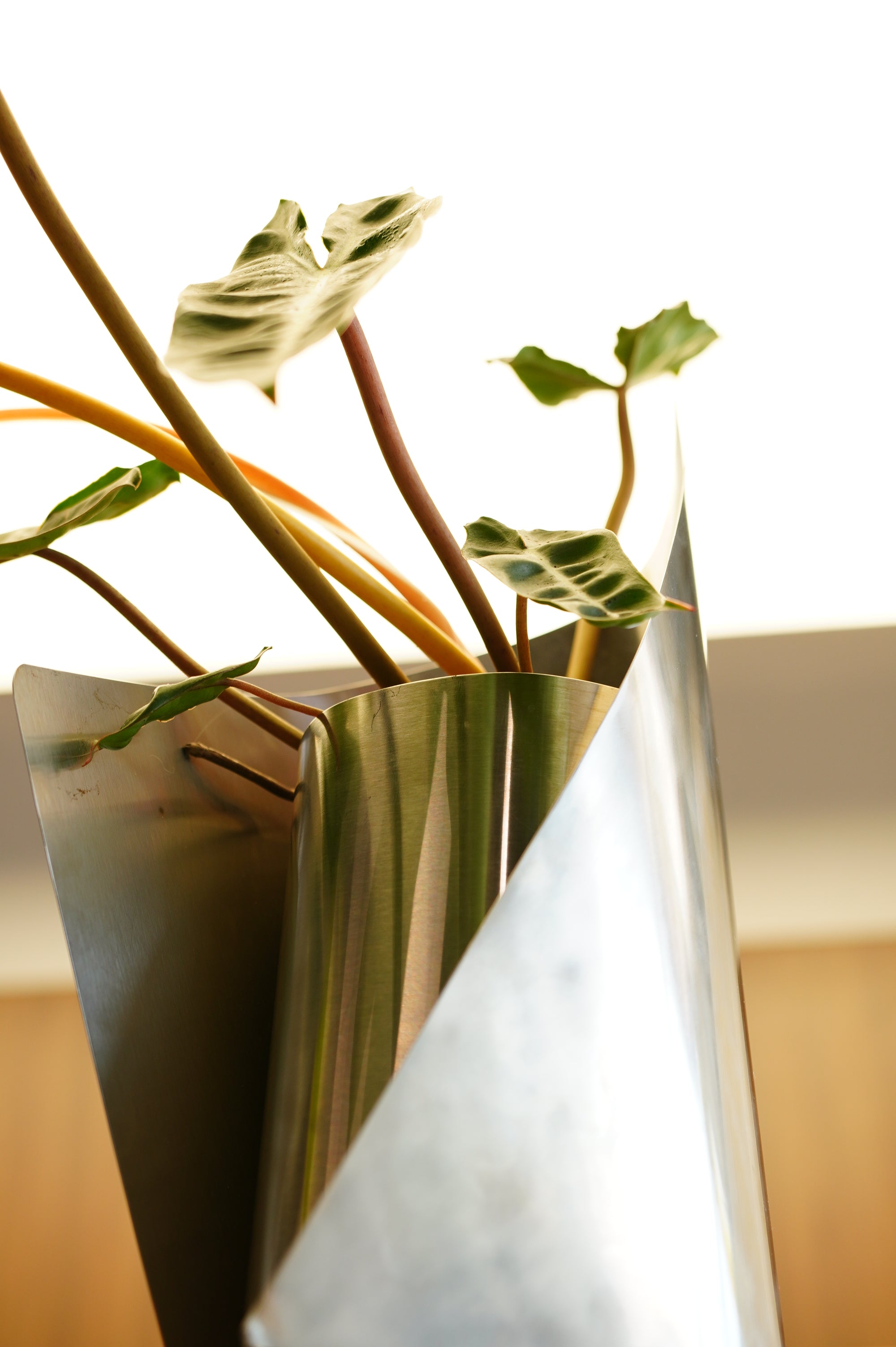 FOLD VASE WITH PLANT 001
