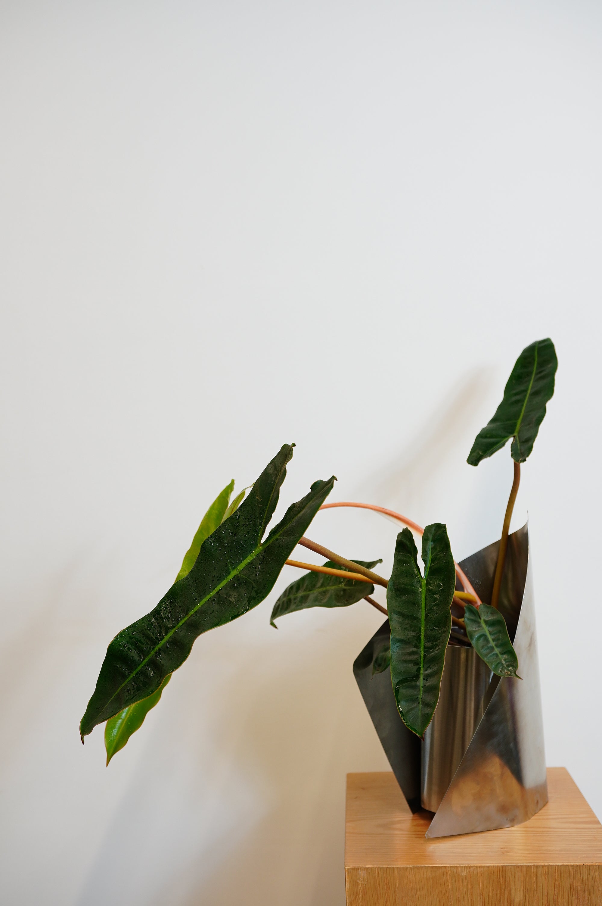 FOLD VASE WITH PLANT 001