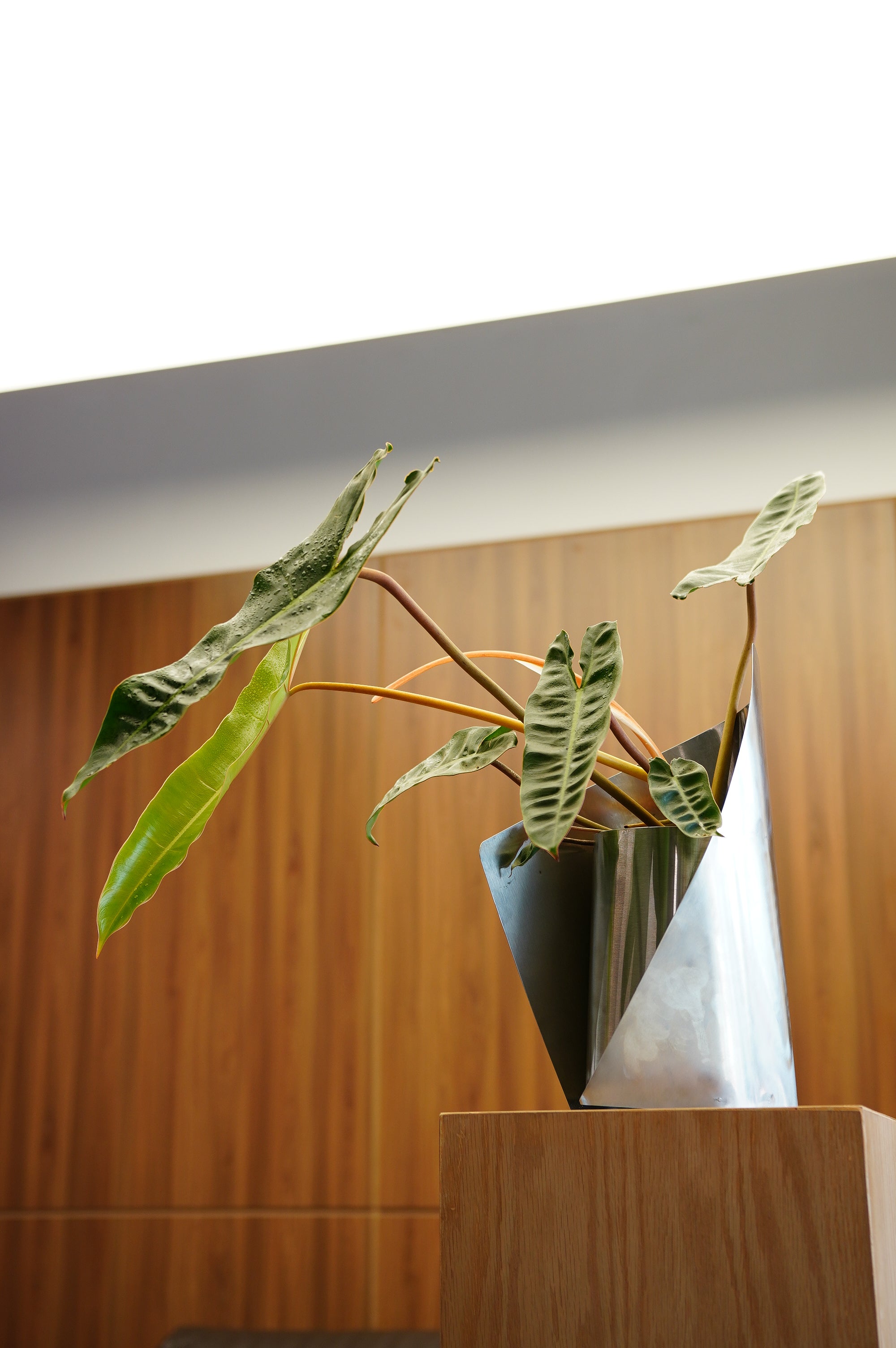 FOLD VASE WITH PLANT 001