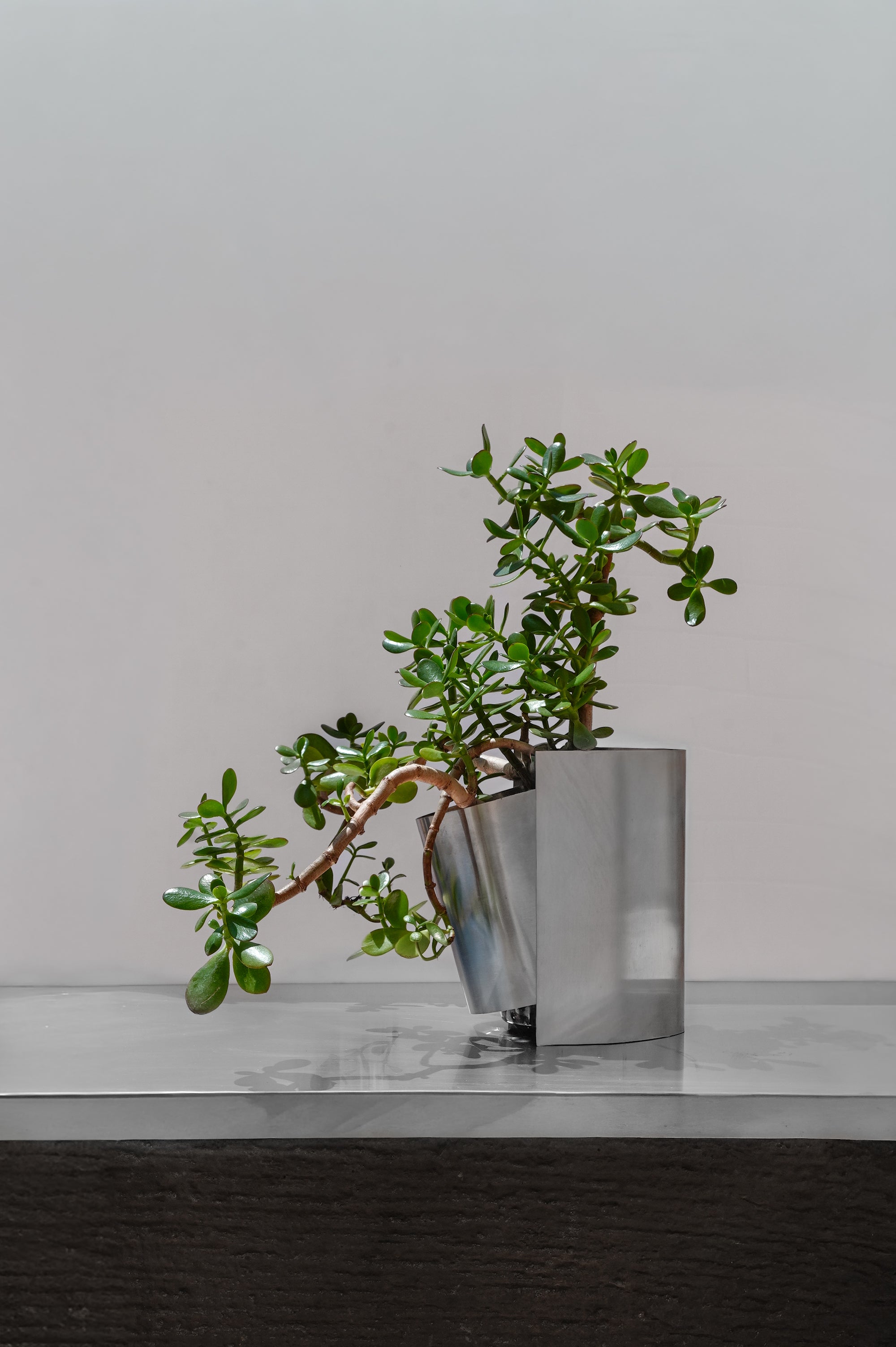 FOLD VASE WITH PLANT 002