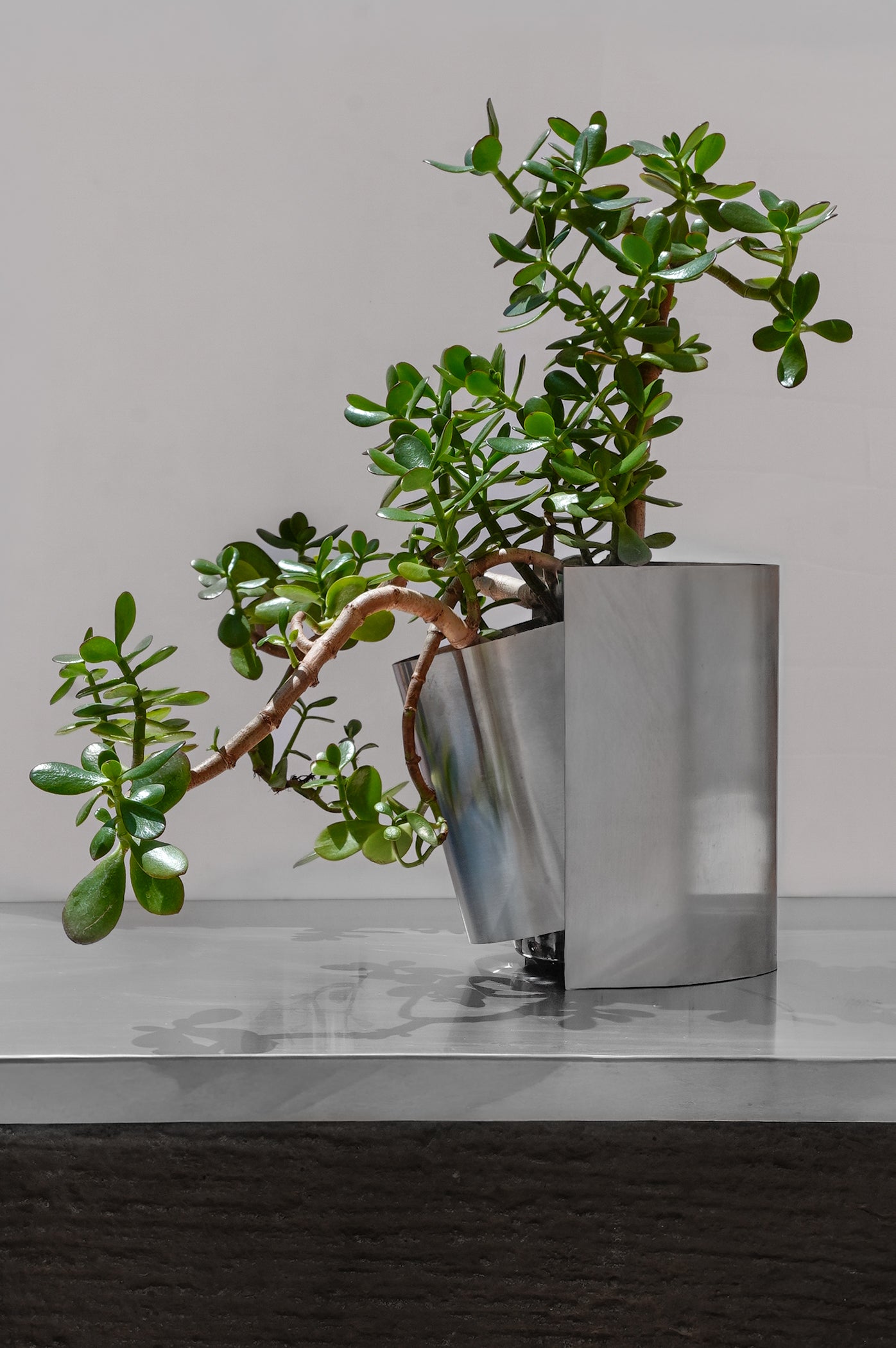 FOLD VASE WITH PLANT 002